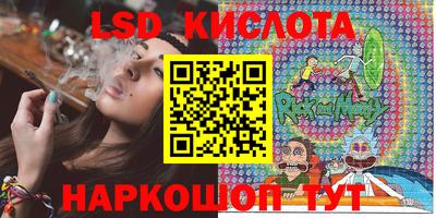 ГАЛЛЮЦИНОГЕННЫЕ ГРИБЫ Новозыбков