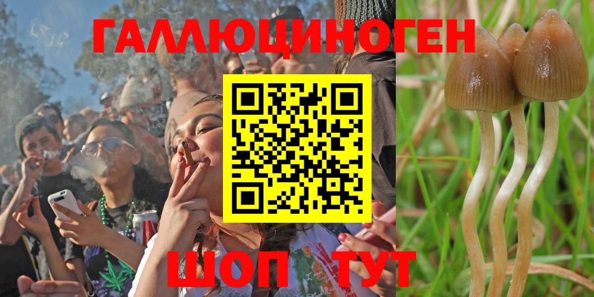Тверь  Галлюциногенные грибы мицелий  Вход с VPN 